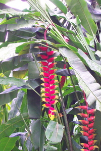 DCP_3368.jpg