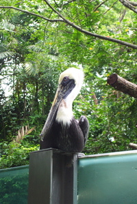DCP_3404.jpg